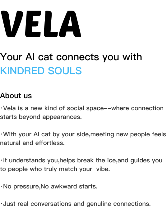 Vela — your AI cat connects you with kindred souls. About us and product introduction.